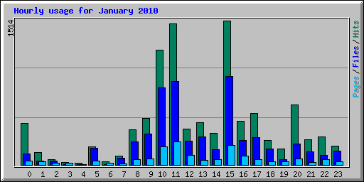 Hourly usage for January 2010